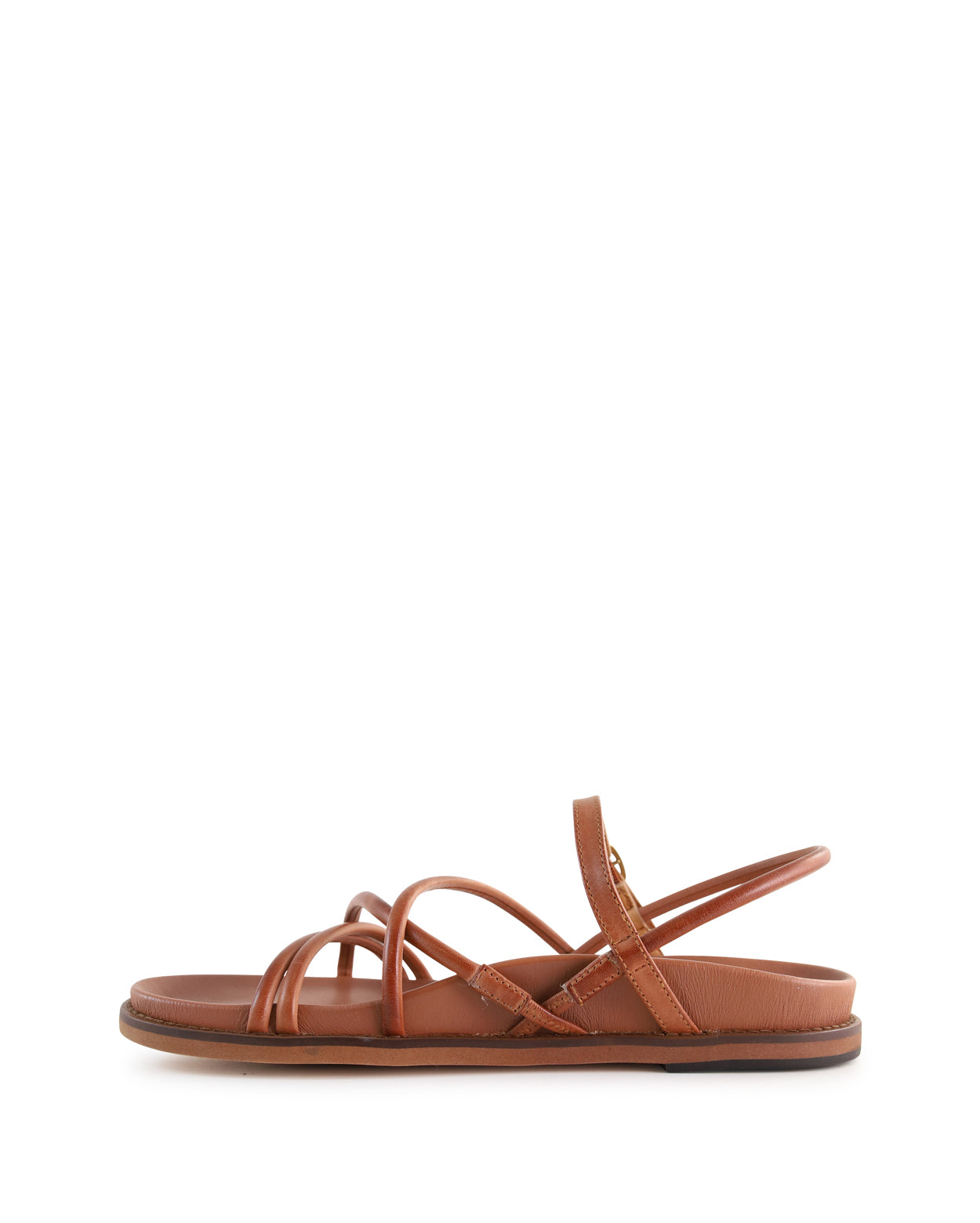 carmina-a_hobbs_bra_2_1768266618