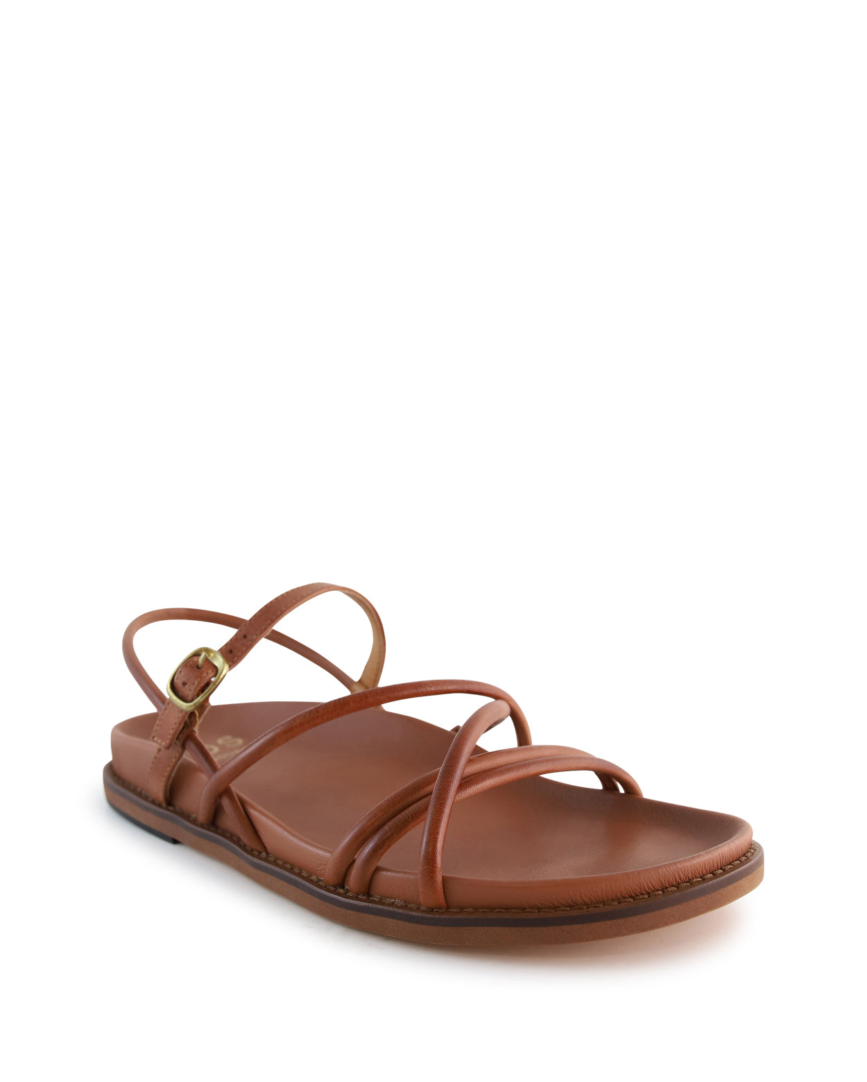 carmina-a_hobbs_bra_3_1768266599