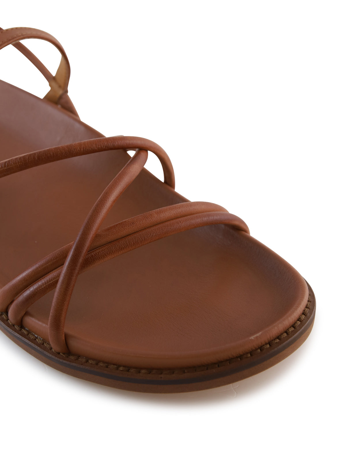 carmina-a_hobbs_bra_4_1768266617