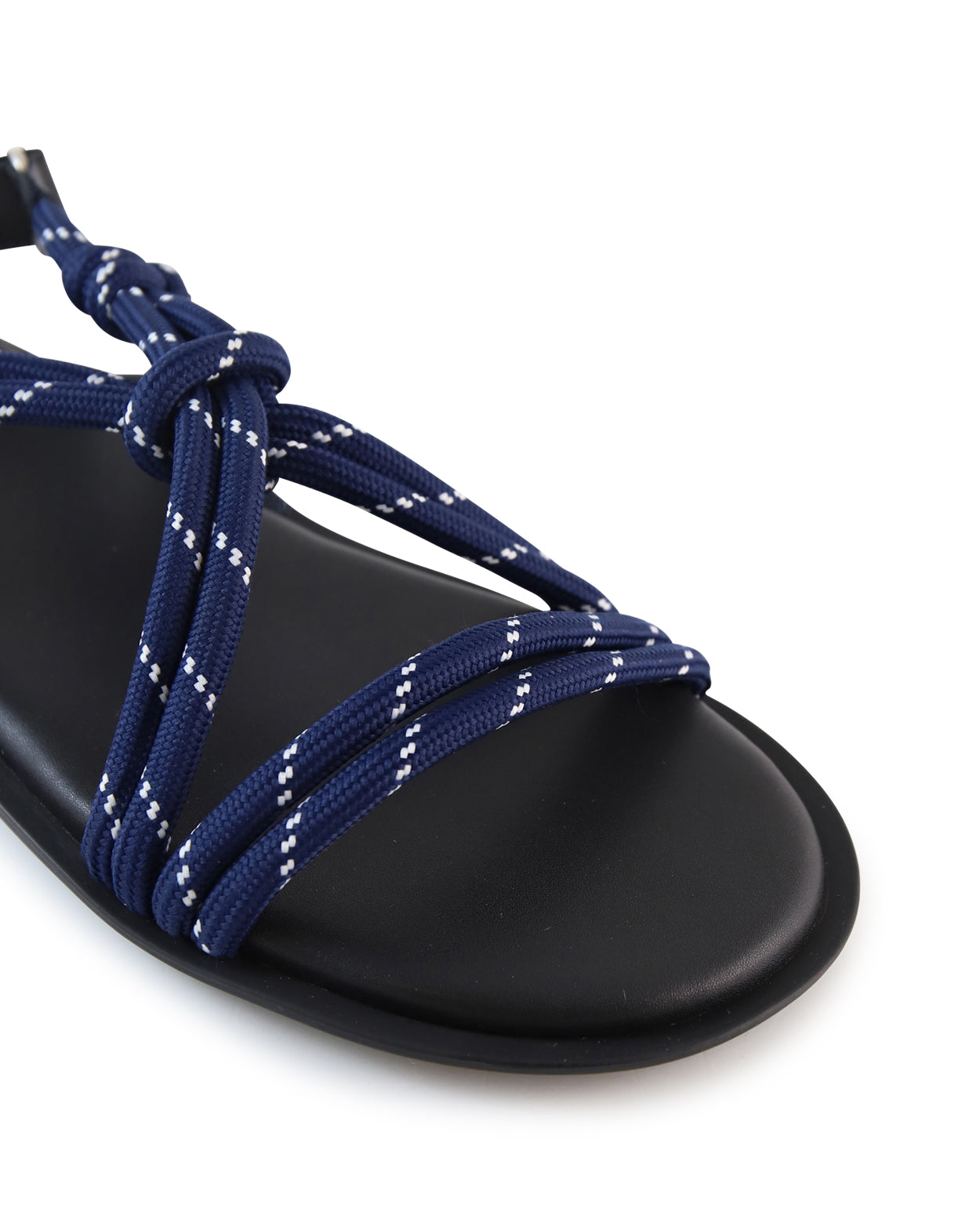 carolina_hobbs_nav_4_1765942989