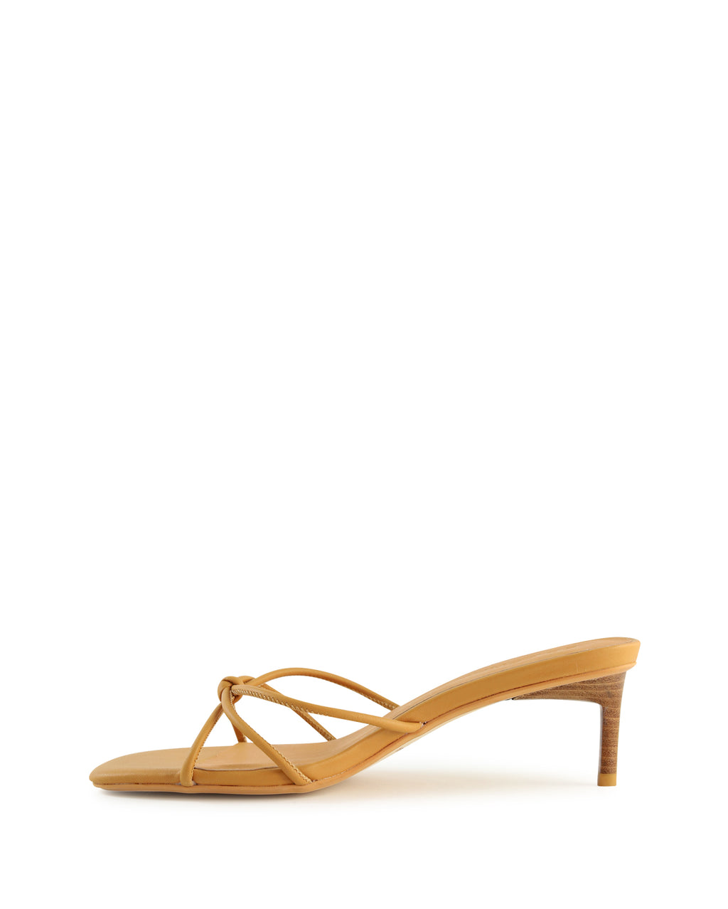 cielo_hobbs_bis_2_1765943125