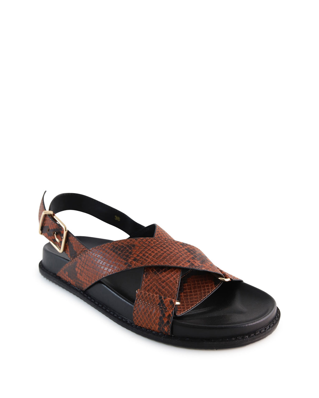 cleo-d_hobbs_snk_2_1765942952