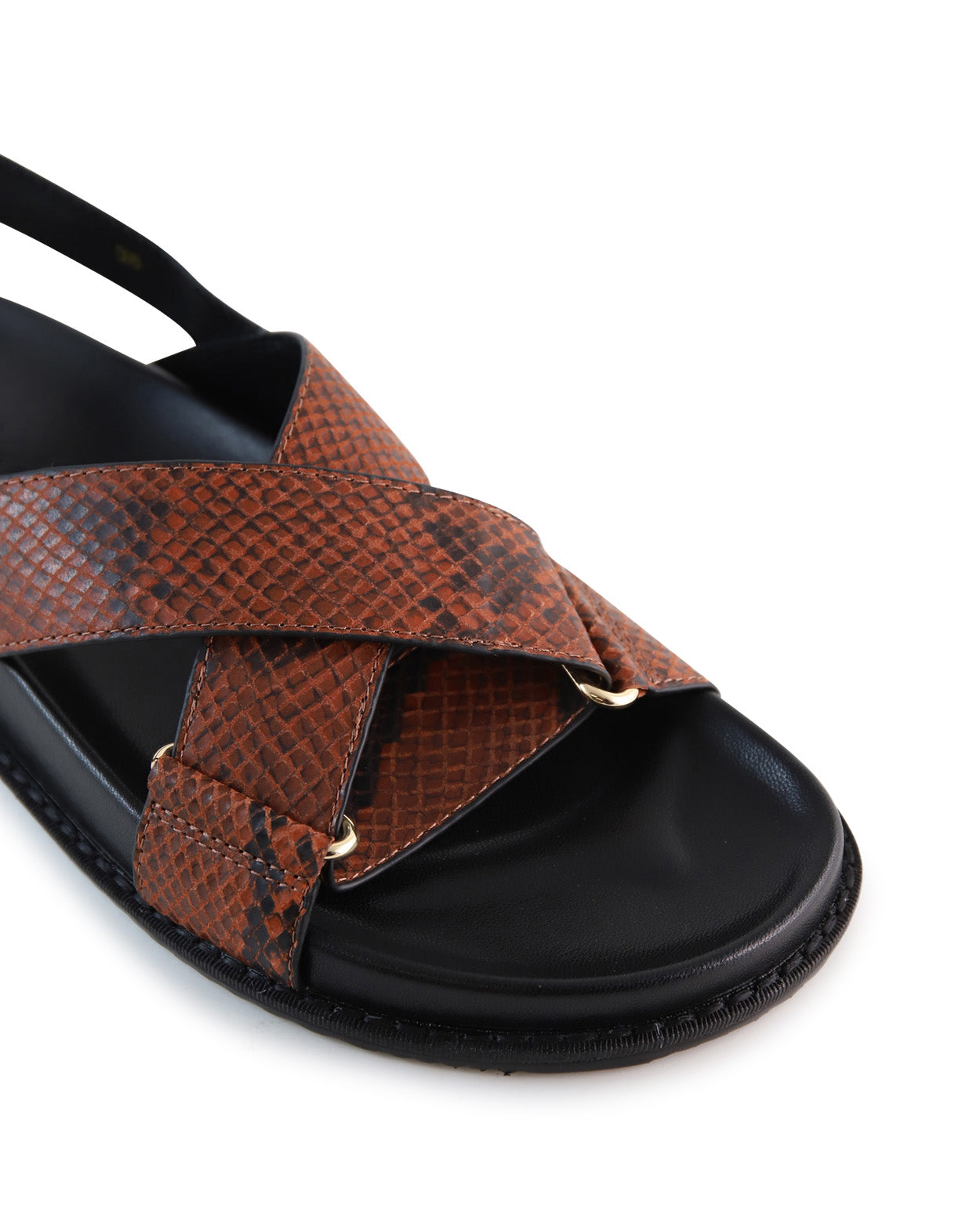 cleo-d_hobbs_snk_3_1765942957