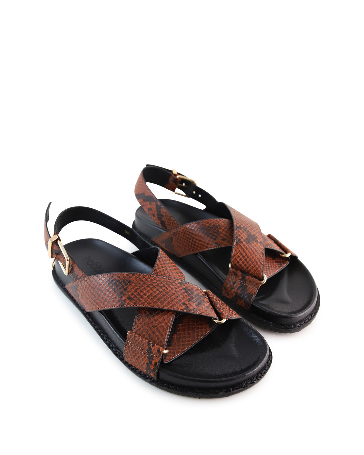 cleo-d_hobbs_snk_4_1765942978