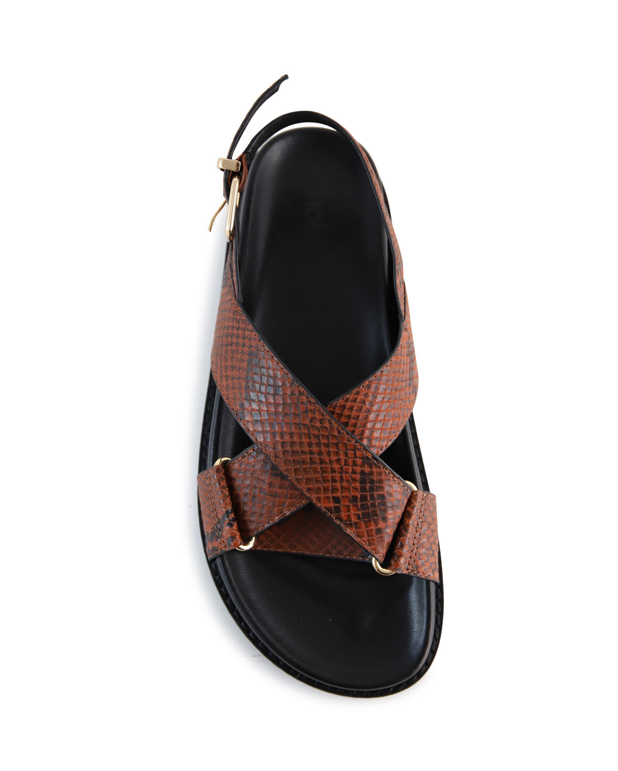 cleo-d_hobbs_snk_5_1765942955