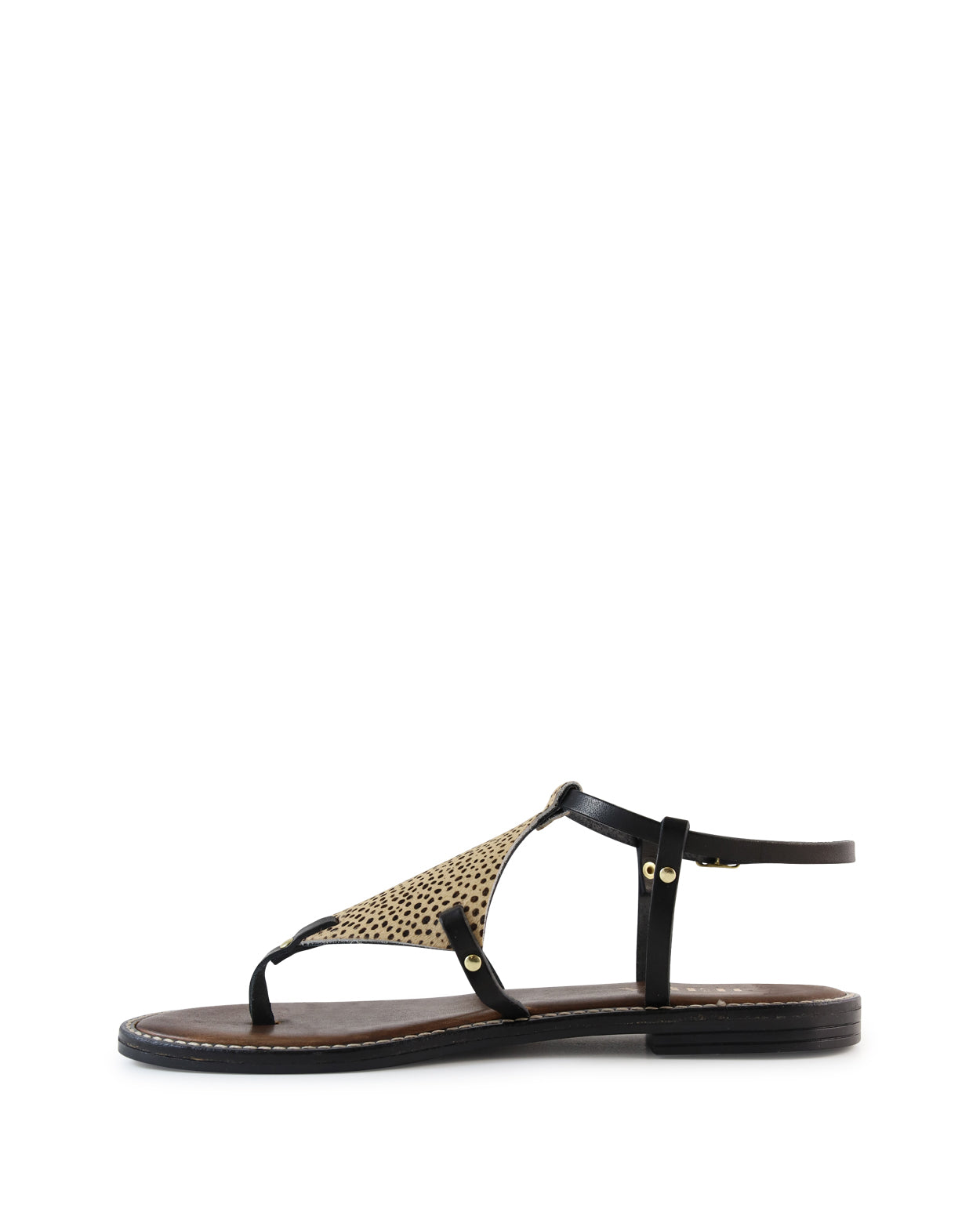 dakara_hobbs_cht_2_1765942980