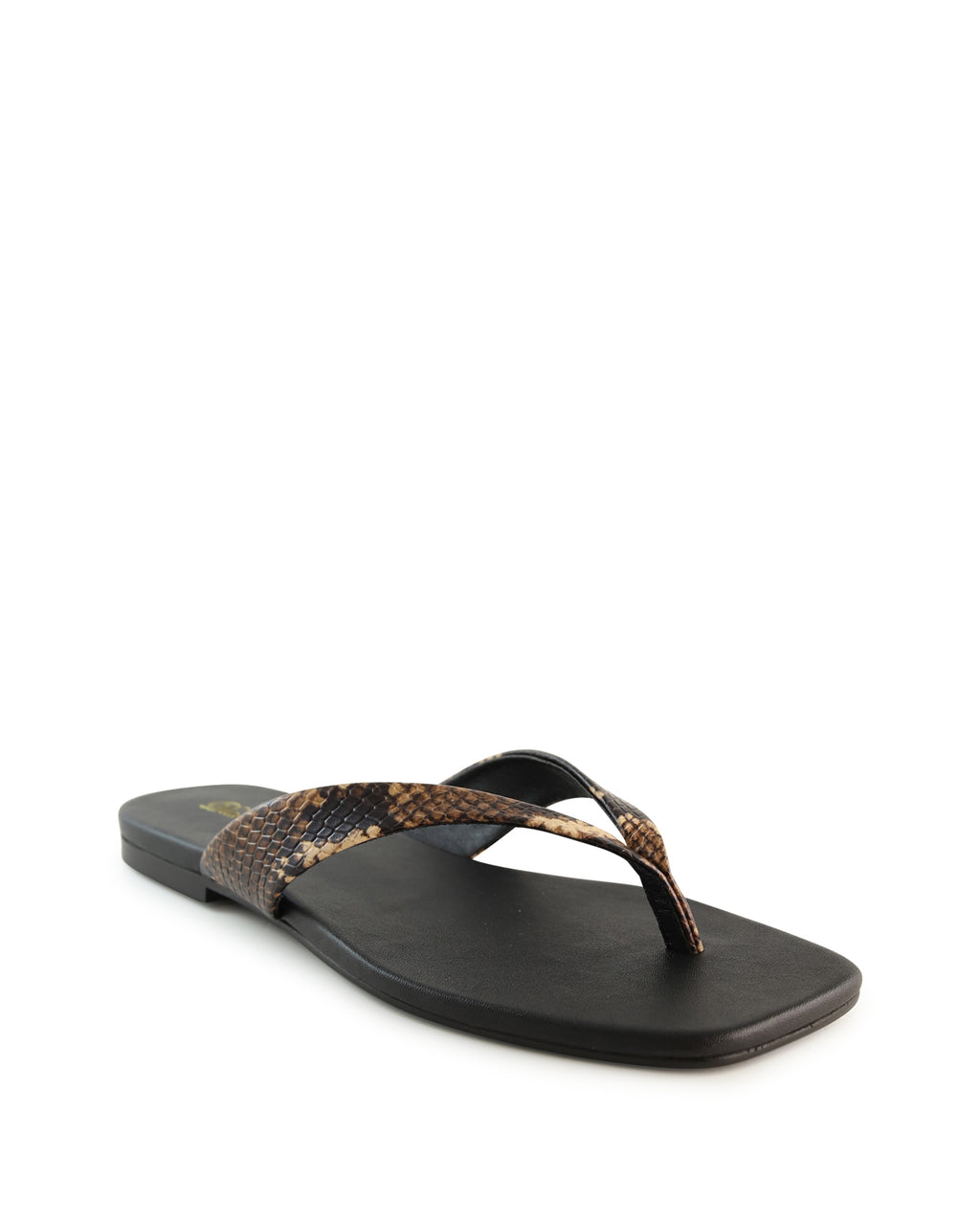 evita-a_hobbs_snk_3_1765942999