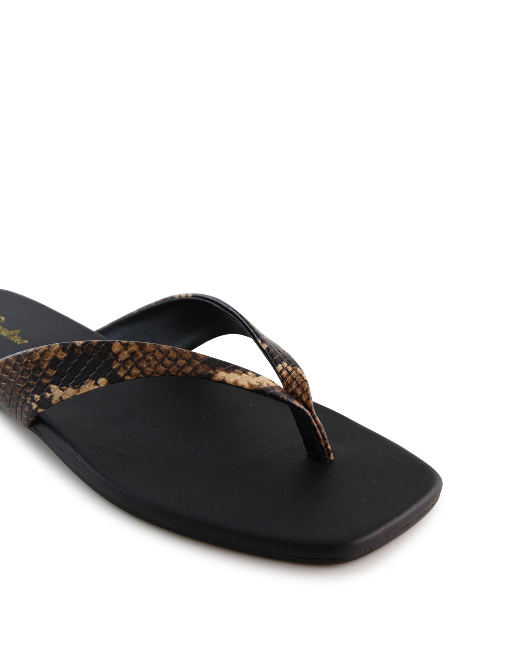 evita-a_hobbs_snk_4_1765942998