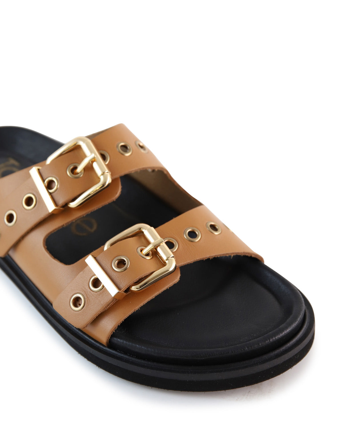 gippy-a_hobbs_tan_4_1765942972