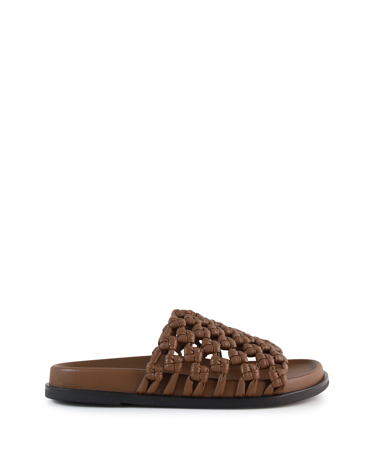 Helix  - Brown