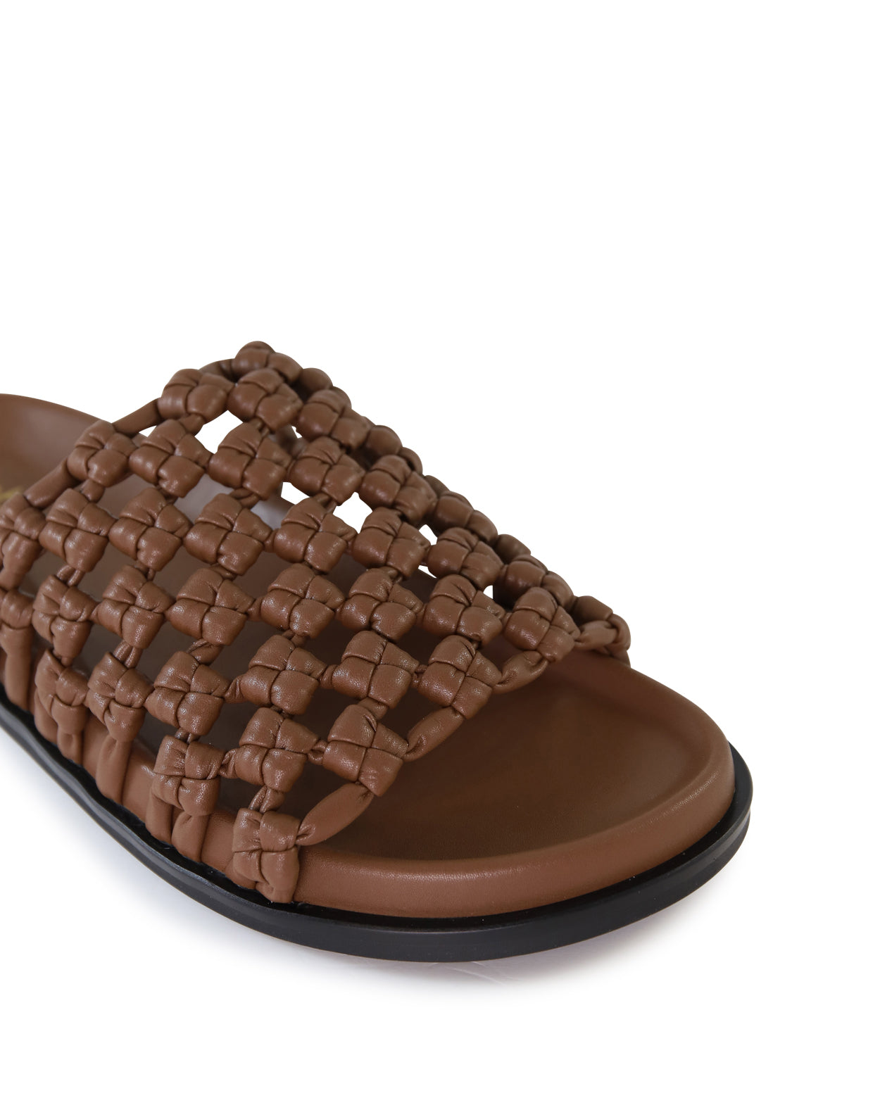 Helix  - Brown