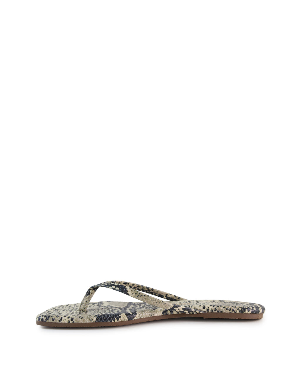 LILY  - Snake