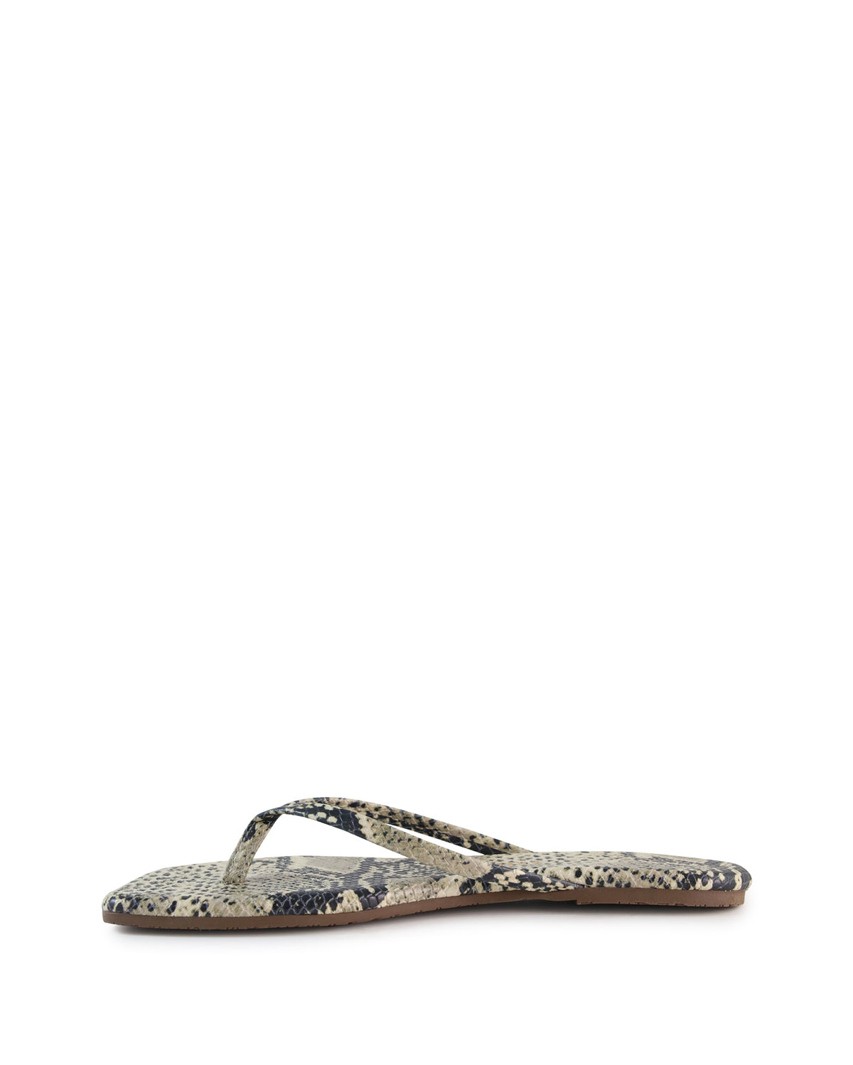 LILY  - Snake
