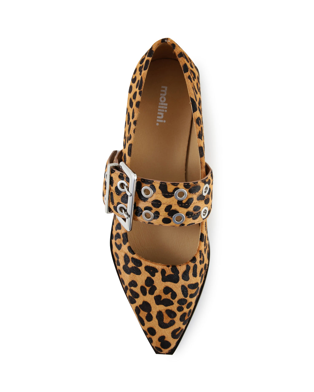 linsa_hobbs_lep_6_1765946042