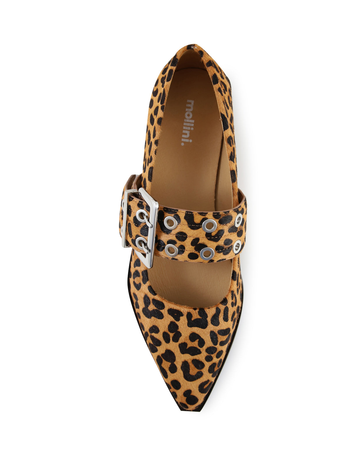 linsa_hobbs_lep_6_1765946042