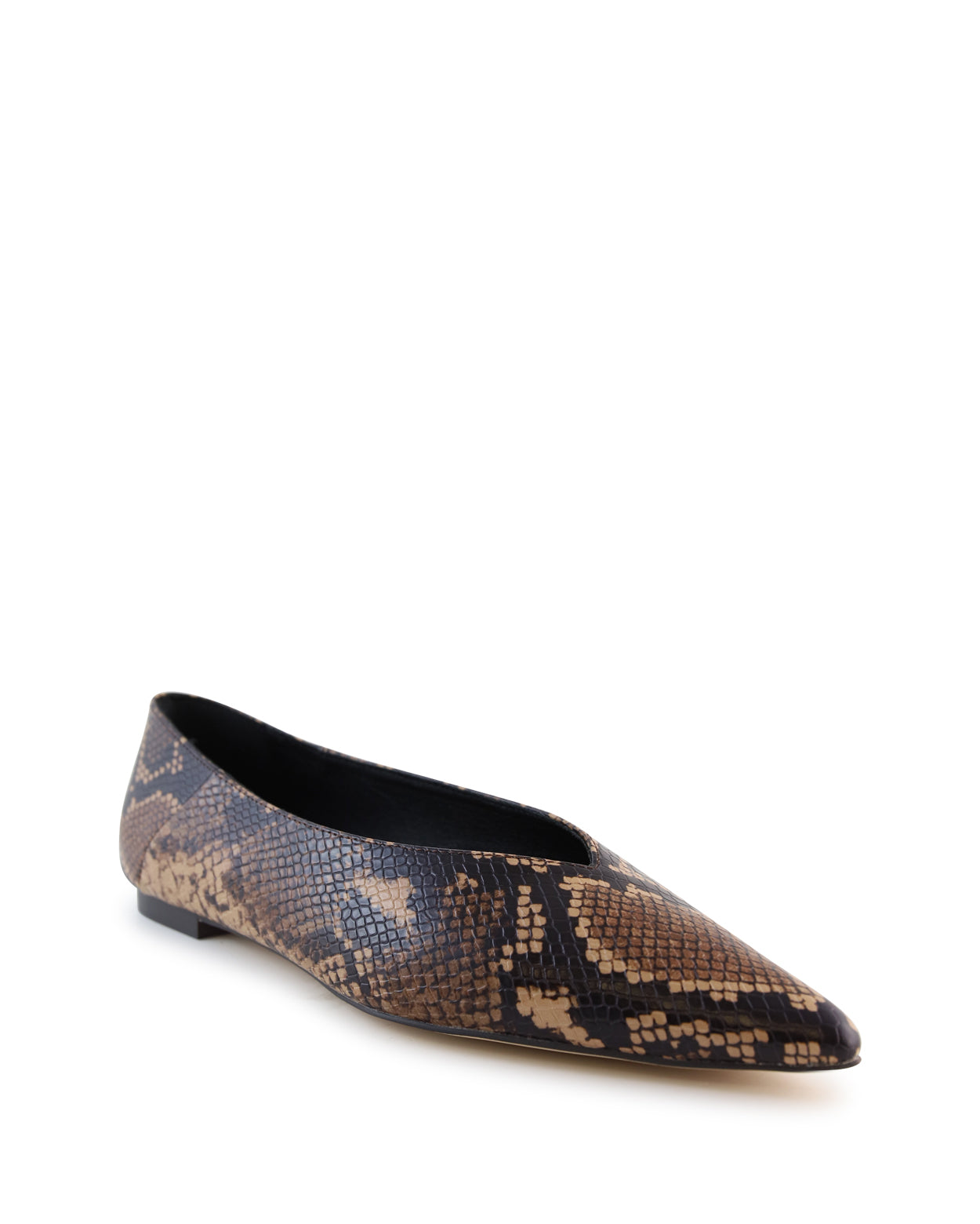 phoebe_hobbs_snk_2_1765943076