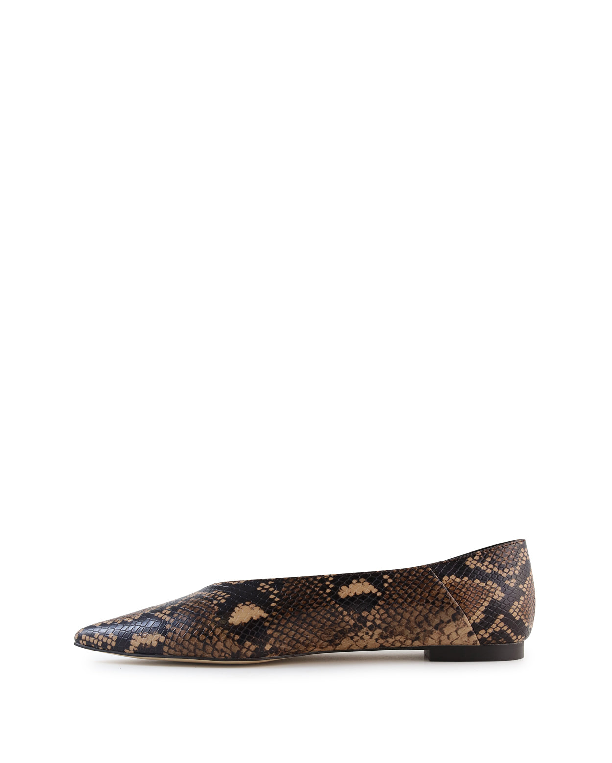 phoebe_hobbs_snk_5_1765943027