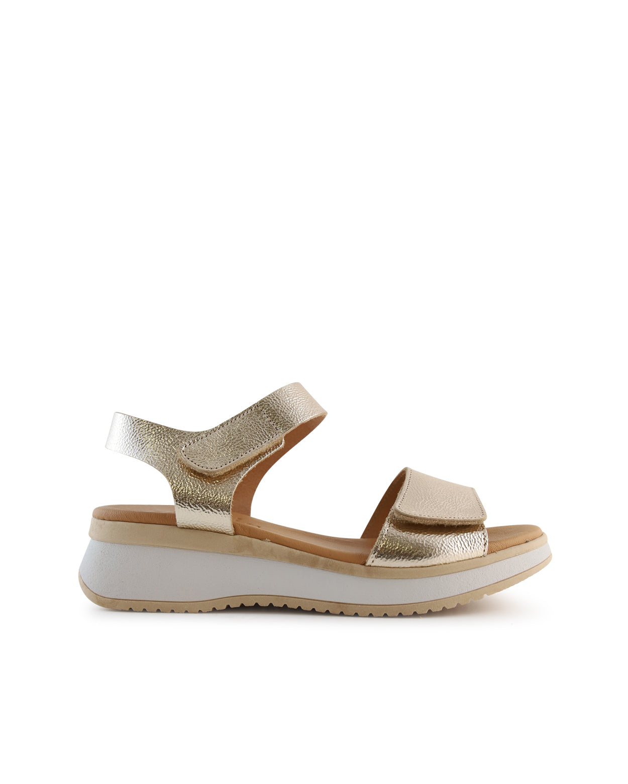 ric-a_hobbs_pla_1_1765943044