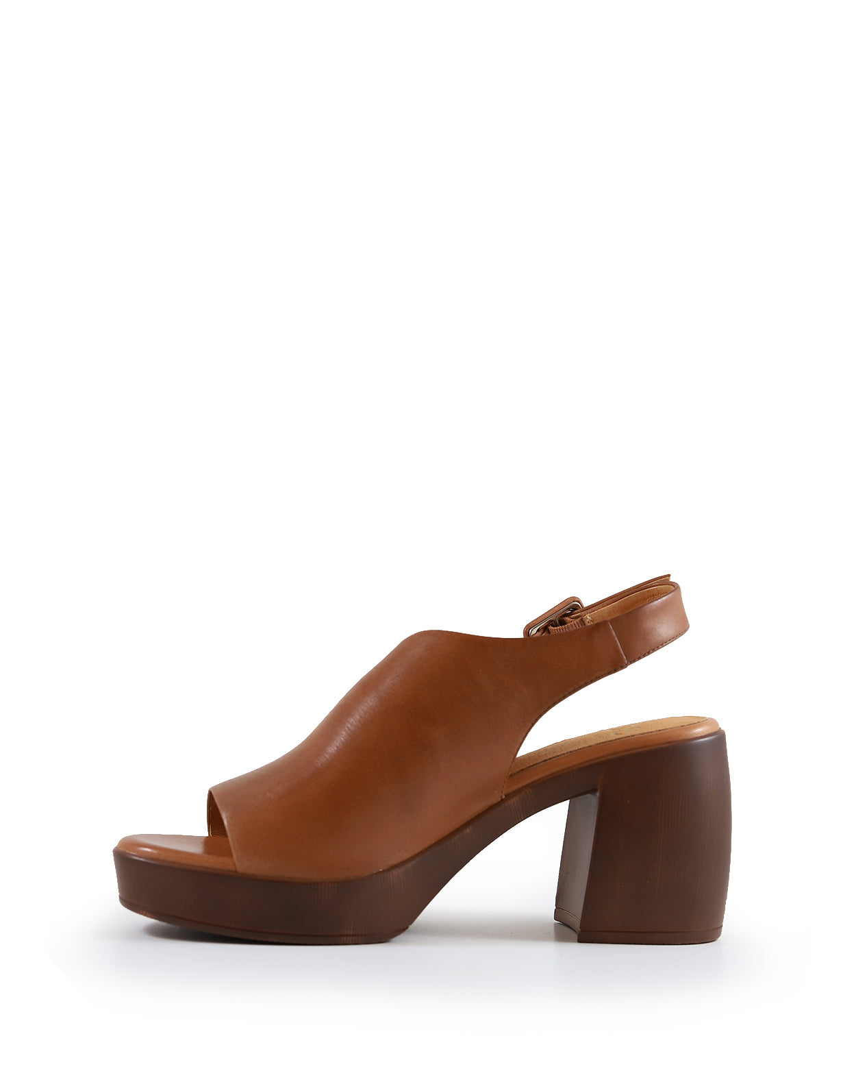 spicer-a_hobbs_bra_3_1765943140