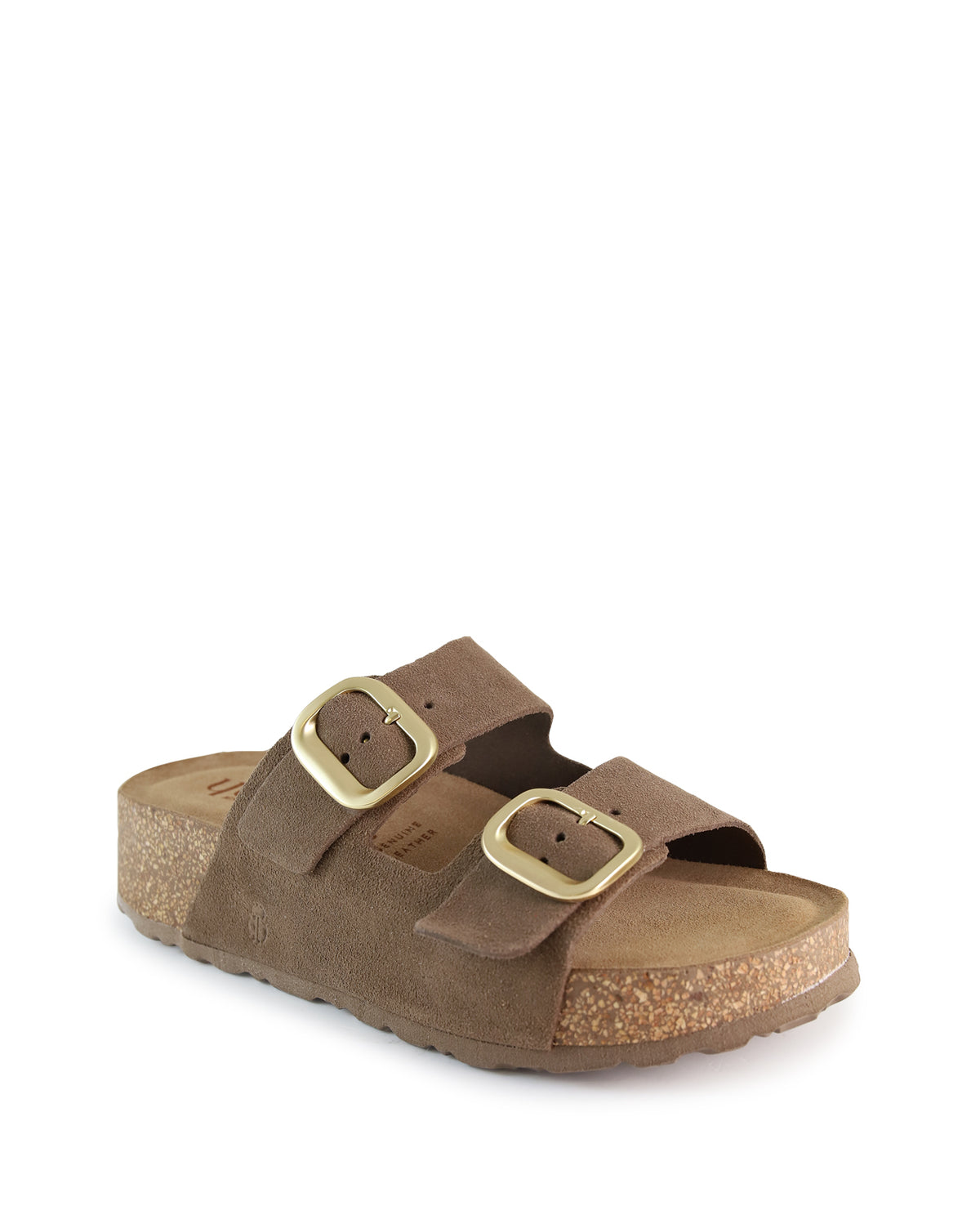 TARNI  - Brown
