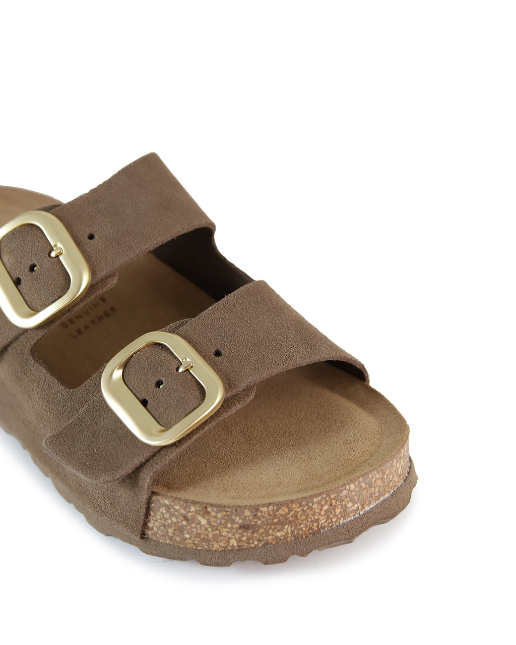 TARNI  - Brown