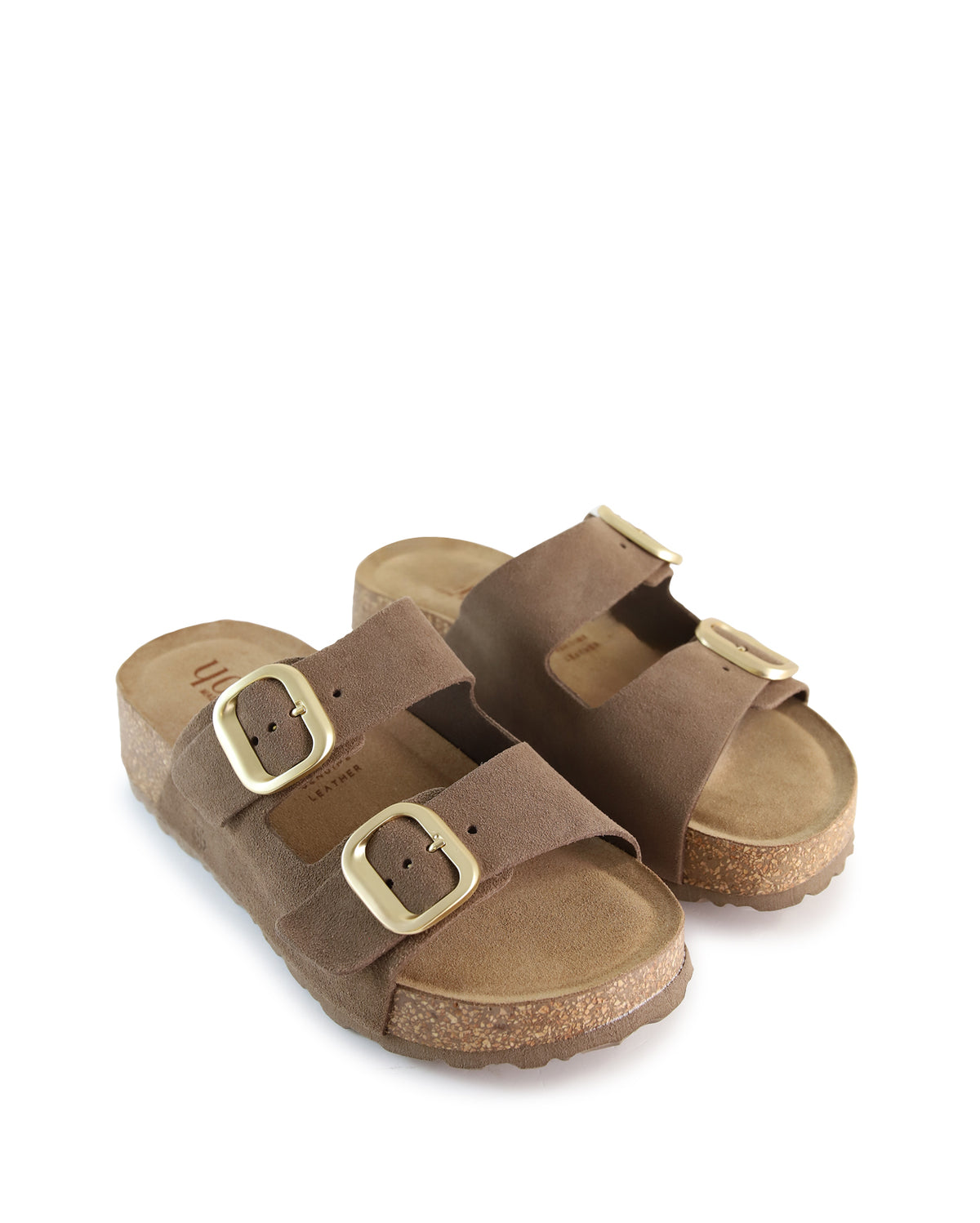 TARNI  - Brown