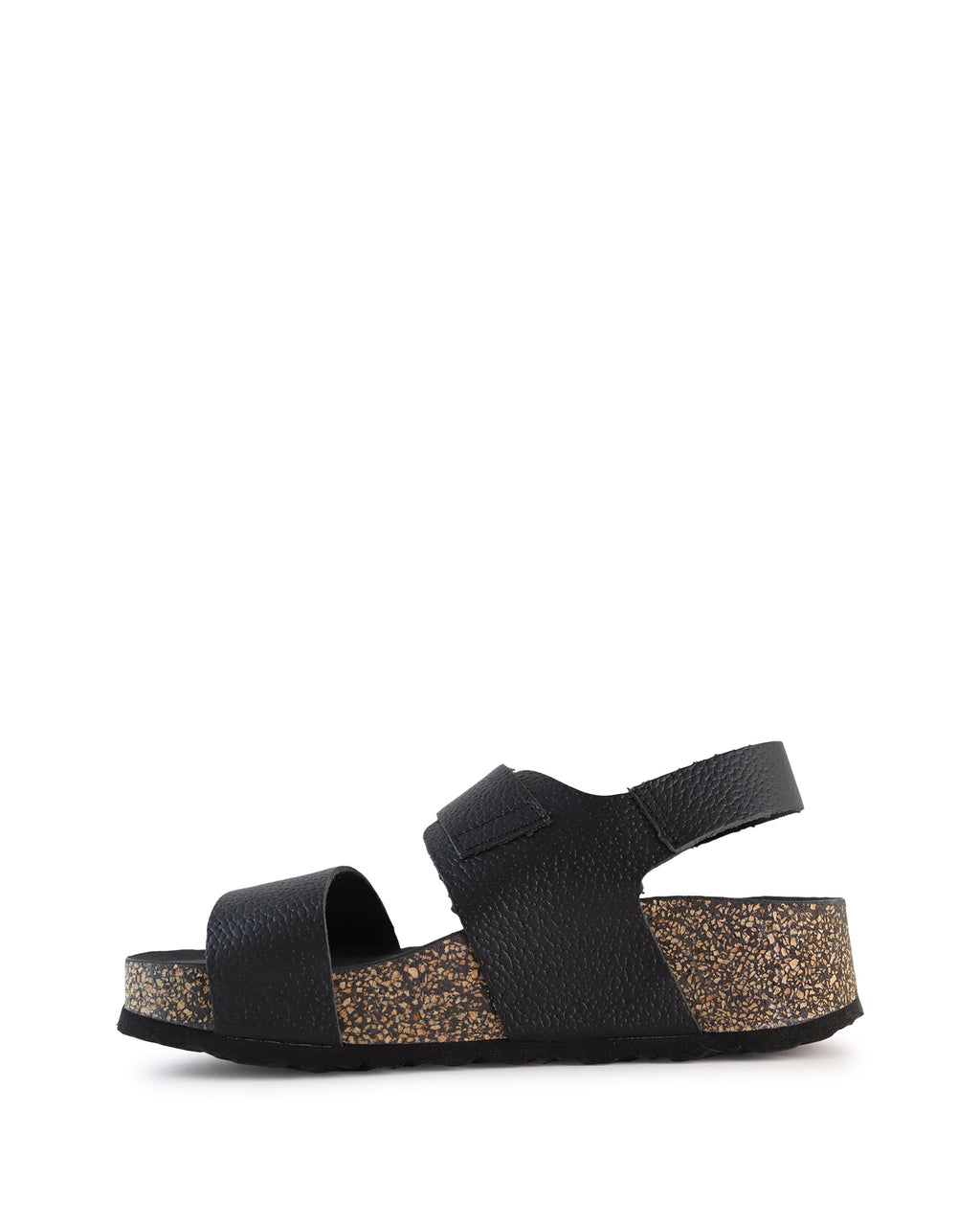 TEO  - Black