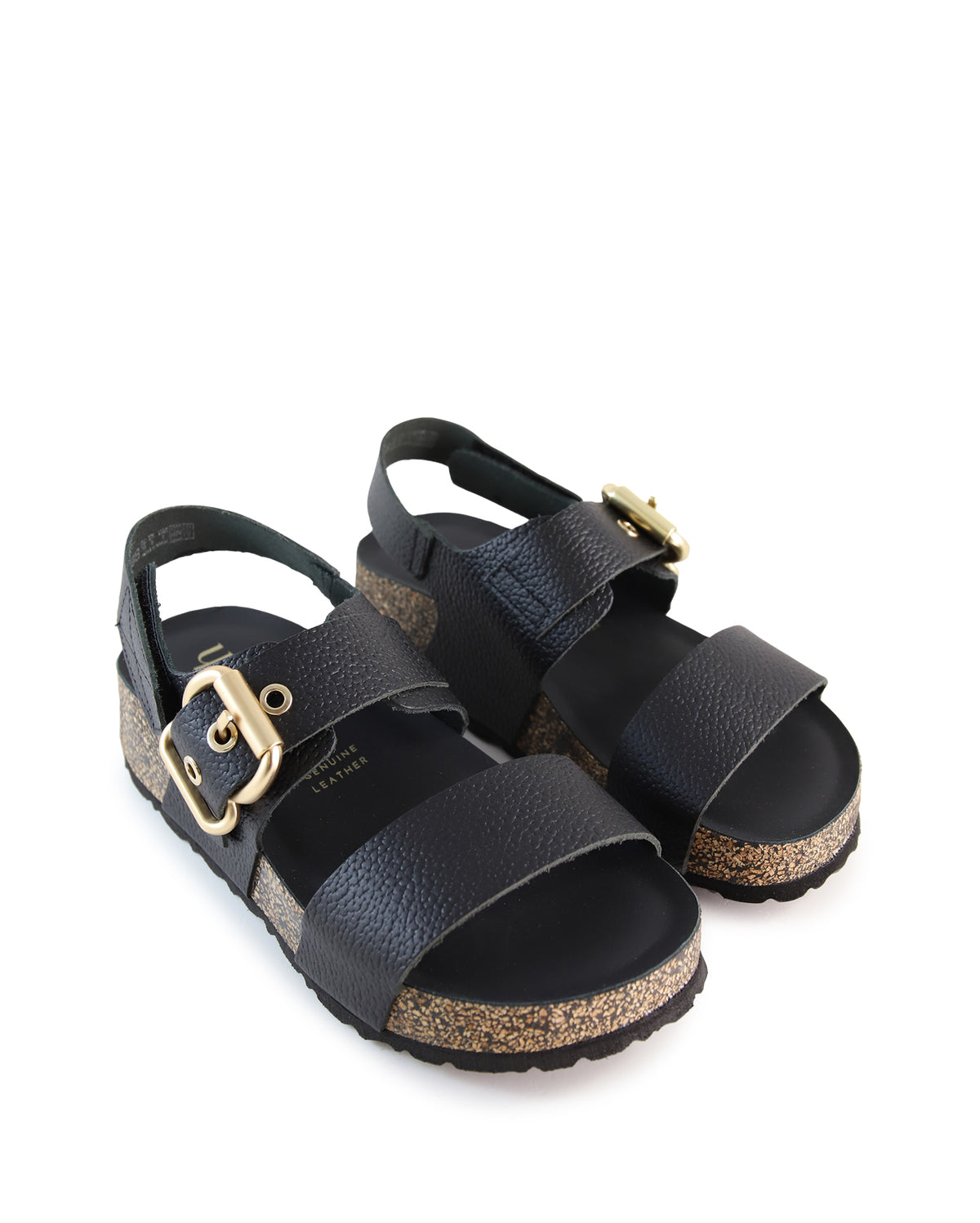 TEO  - Black