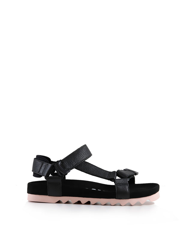 TOOTH WEDGE