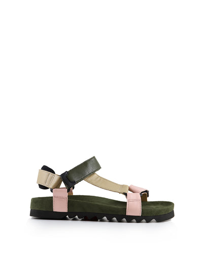 TOOTH WEDGE