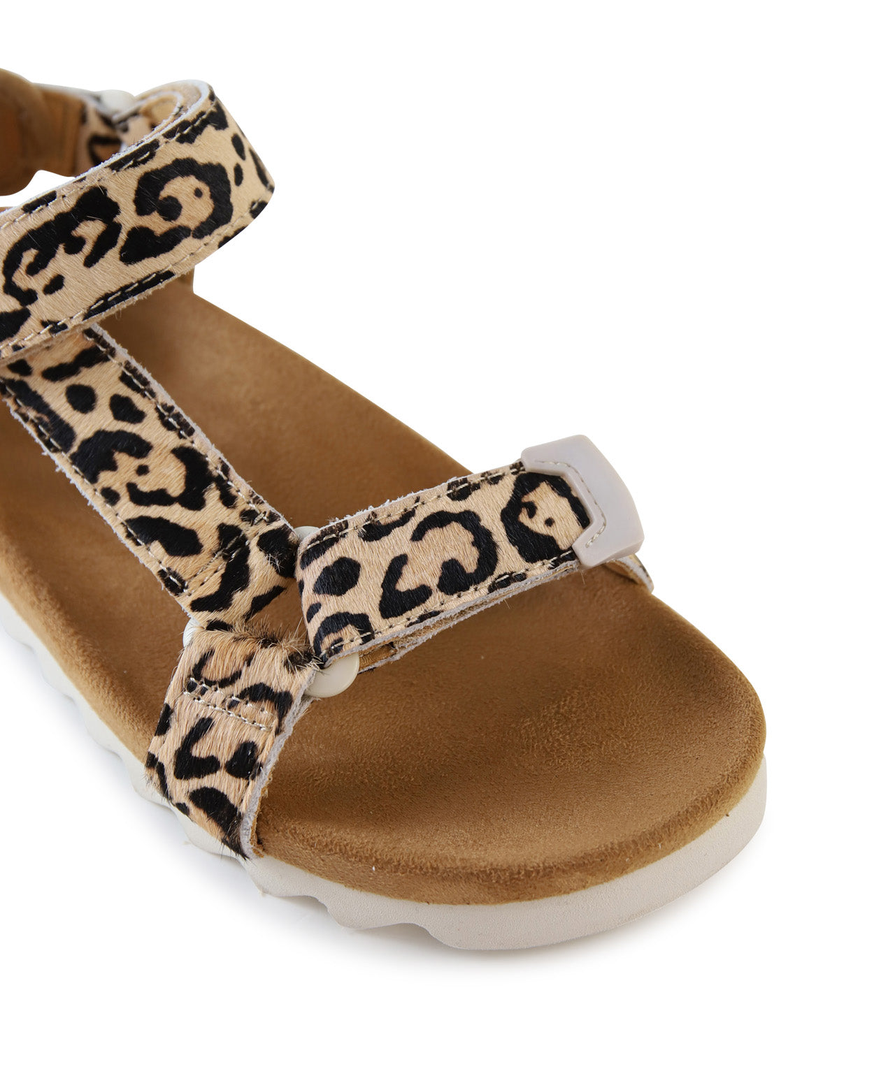 TOOTH WEDGE - Leopard