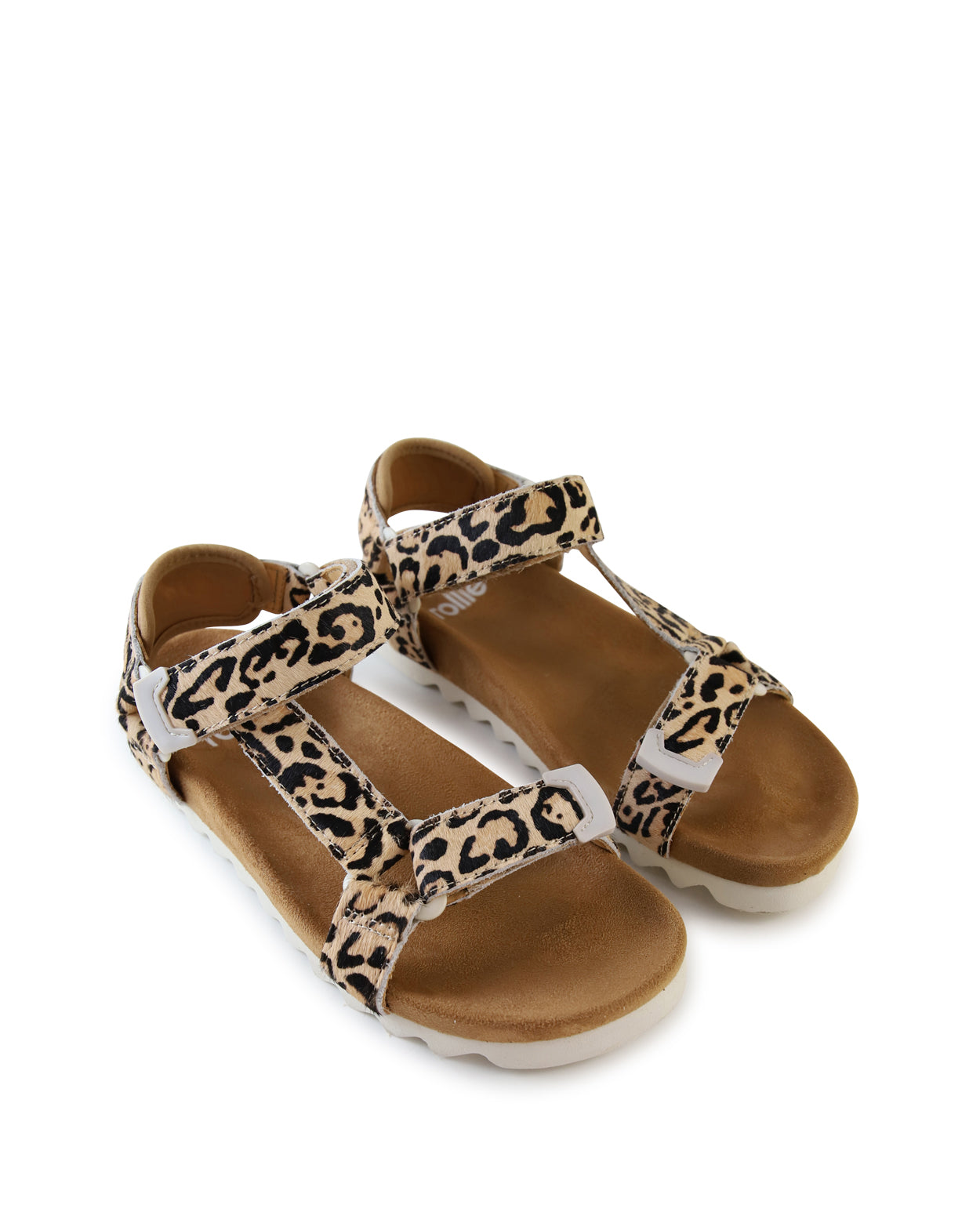TOOTH WEDGE - Leopard