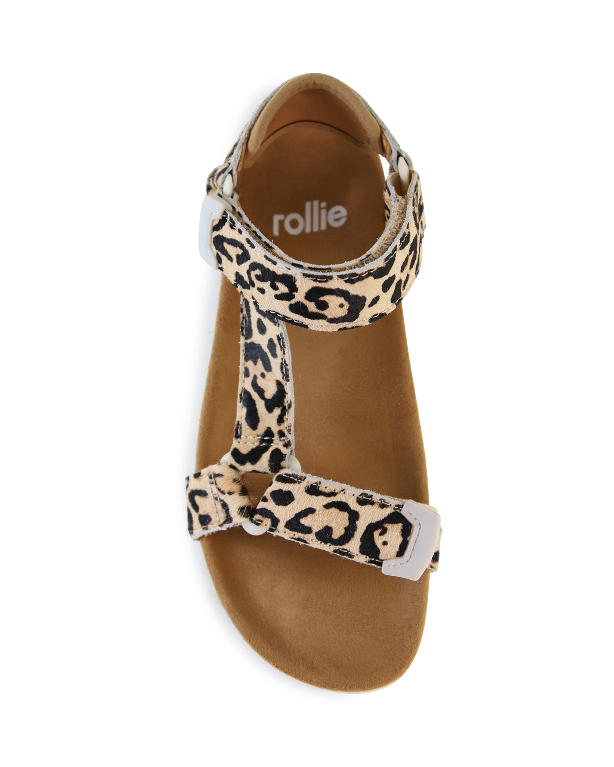 TOOTH WEDGE - Leopard