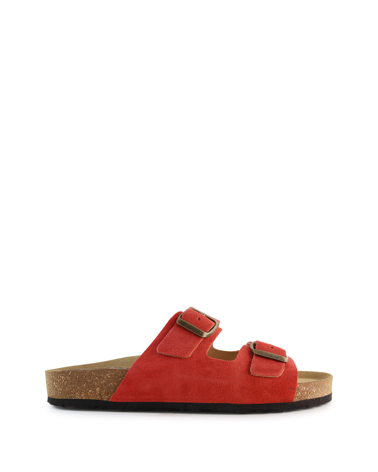 vito_hobbs_cor_1_1765943065