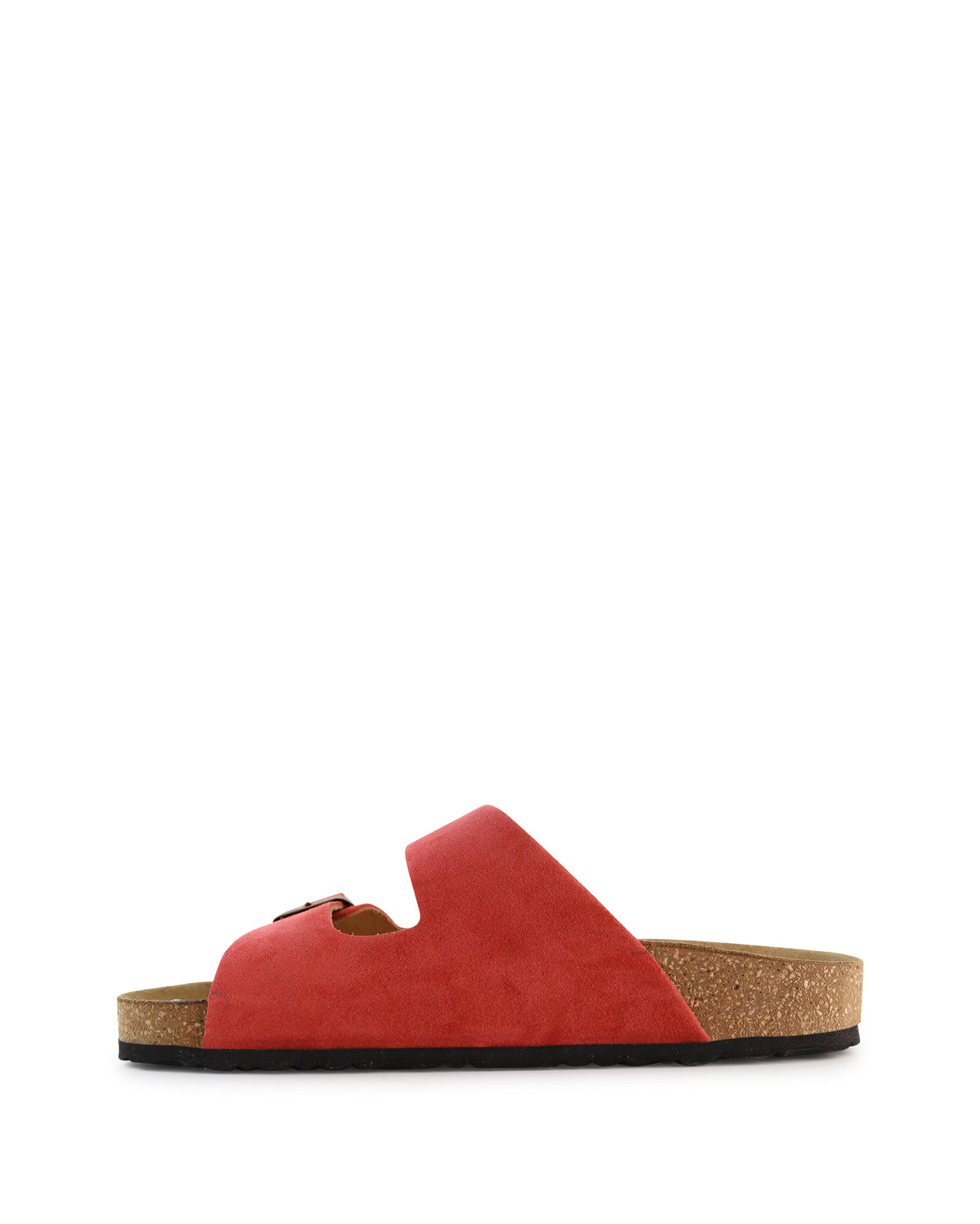 vito_hobbs_cor_2_1765943023